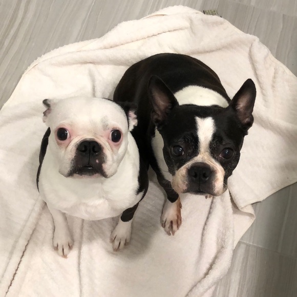 Meet The Posher 3.0! - Picture 8 of 12